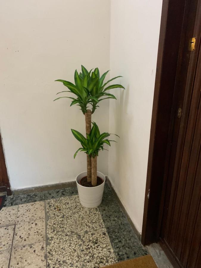 Pisa Train Station Guest House Luaran gambar
